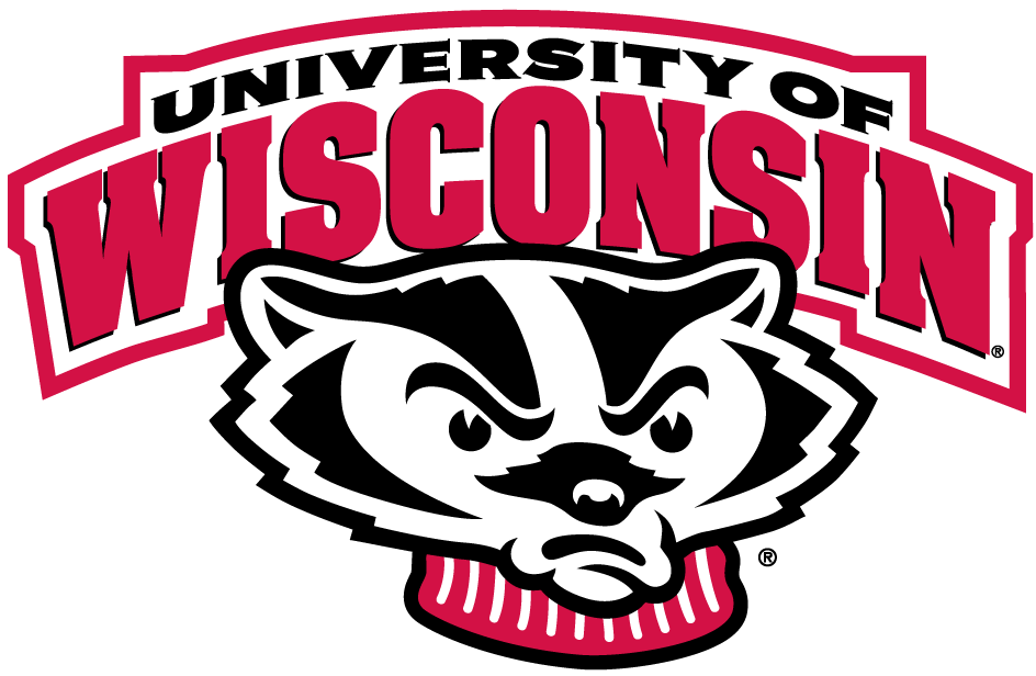Wisconsin Badgers 2002-Pres Alternate Logo DIY iron on transfer (heat transfer)